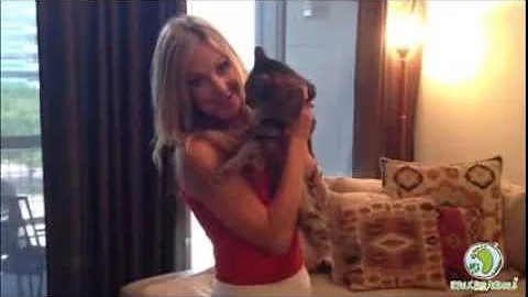 Katherine Whaley invites you to iWalk For Animals ...