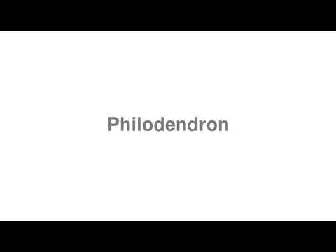 How to Pronounce "Philodendron" - YouTube