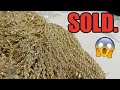 Record breaking ROPE restock! (Day 3 GIVEAWAY)