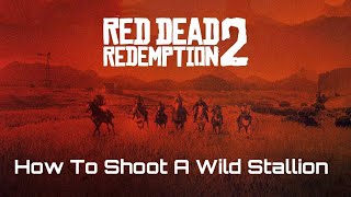 RDR2 Arthur And Albert -- Wild Horses