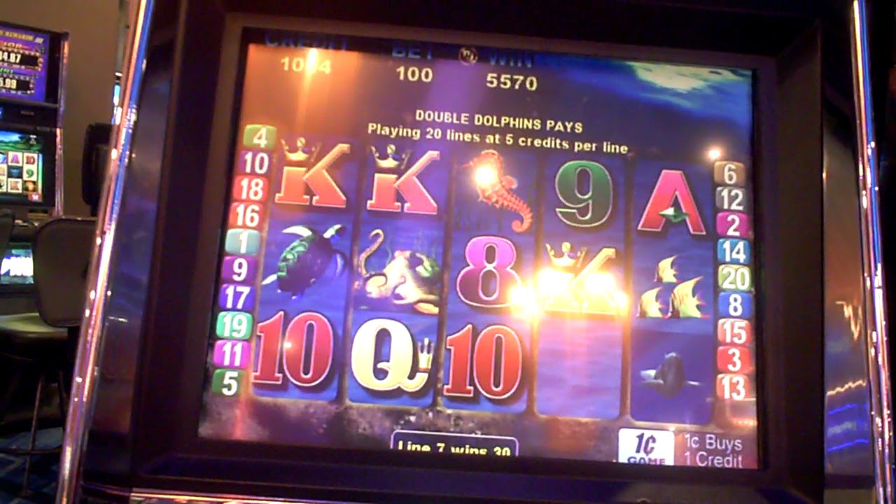 Double Dolphins Slot Machine NICE WIN Bonus YouTube