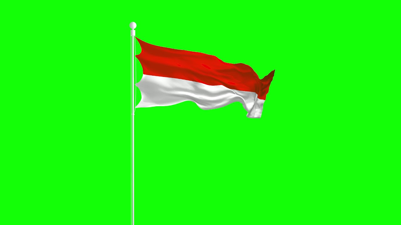  Animasi Bendera Merah Putih  01 Green Screen YouTube