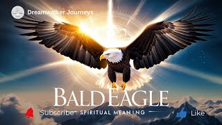 Spiritual Meaning of Seeing a Bald Eagle | Power, Vision & Divine Guidance