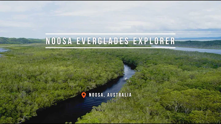 Noosa Everglades Explorer | Things to do in Noosa