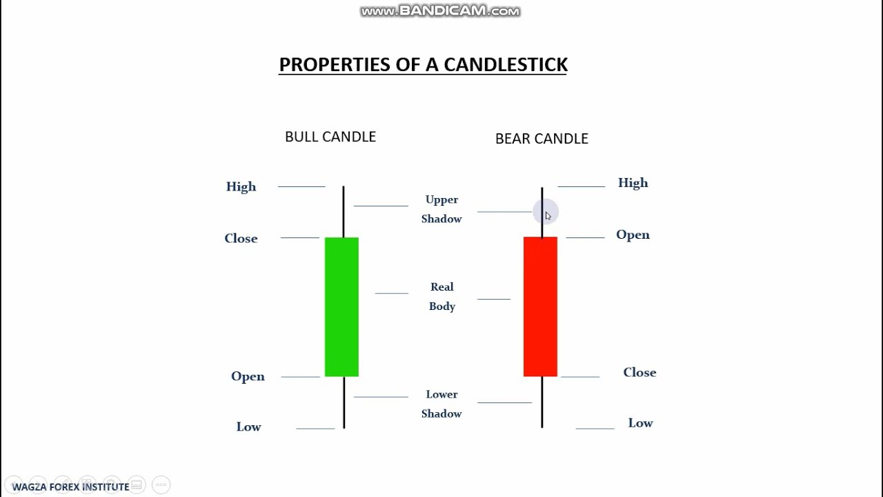 Reading Forex Charts Pdf