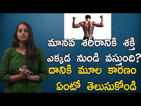 మానవ శరీరానికి శక్తి ఎక్కడ నుండి వస్తుంది ?దానికి మూల కారణం ఏంటో తెలుసుకోండి| Dr. Sarala Health Tips