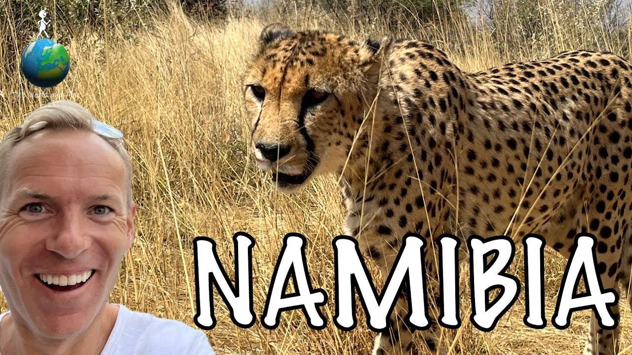 What it's Like to Volunteer with Wildlife at Naankuse in Namibia 🇳🇦