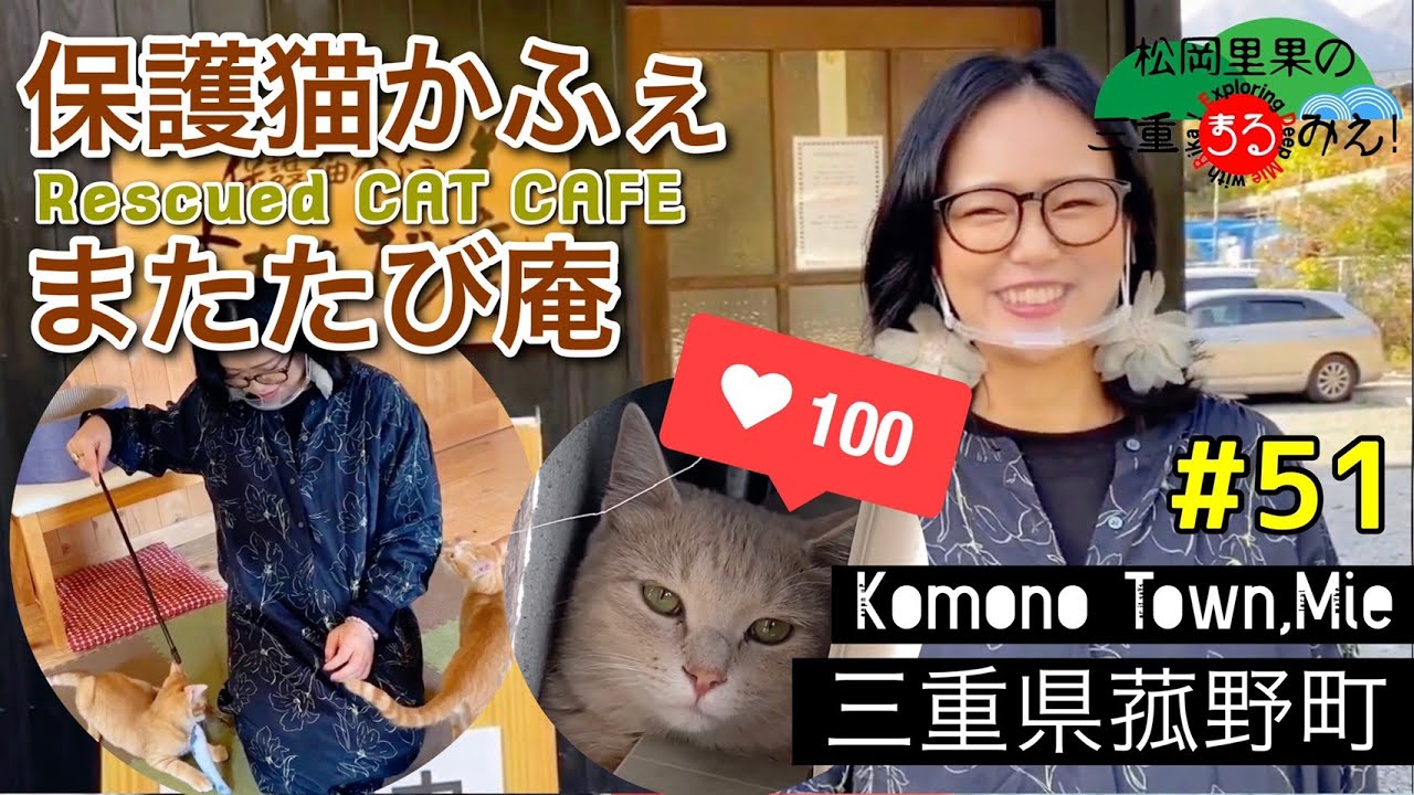 051 菰野町 保護猫かふぇ またたび庵 りかちゃんが恋に落ちる Youtube