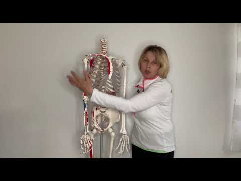 Video: Snadné způsoby, jak posílit kolena s artritidou (s obrázky)