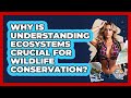 Why Is Understanding Ecosystems Crucial For Wildlife Conservation? - The Geography Atlas
