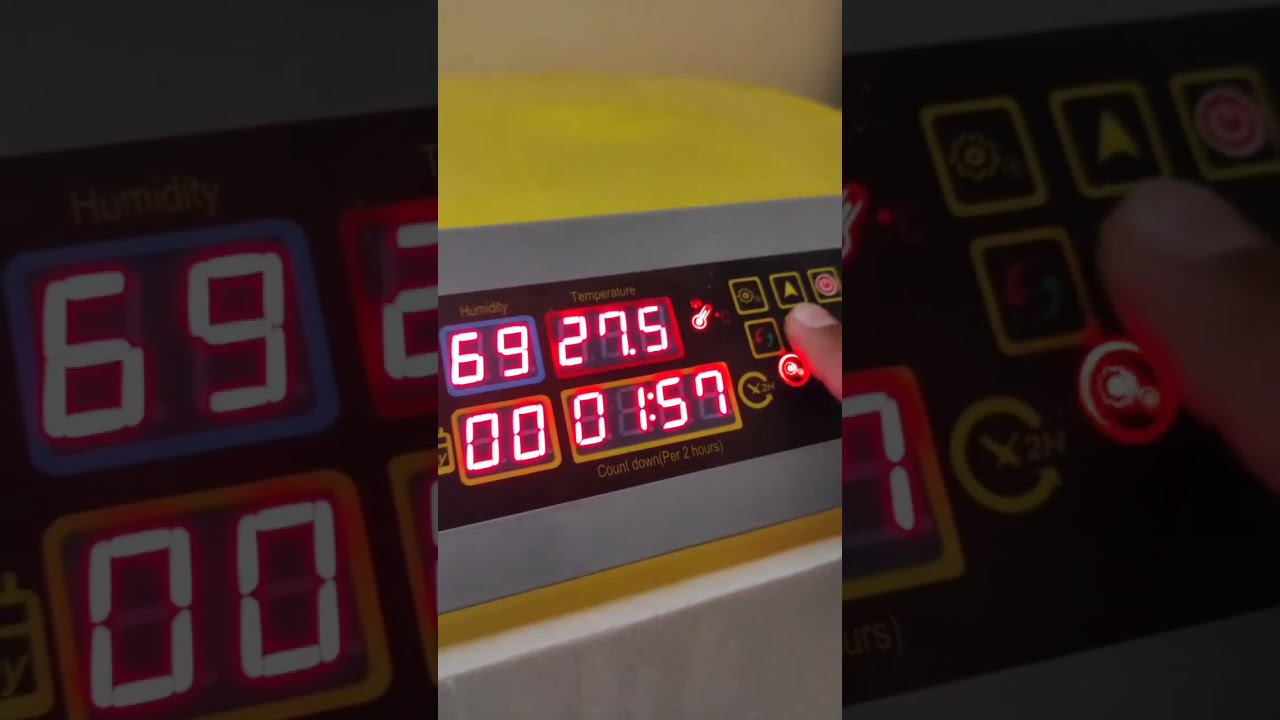 HHD & KMAI Kuluçka Makinesi nasıl? kullanılır #kuluçkamakinesi  #kuluçka #civciv #tavuk #brahma