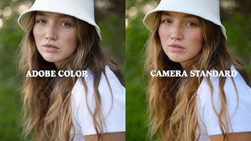 Which Camera Profile Should You Use?