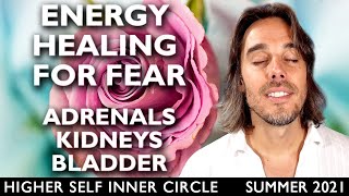 Transform the Fear that Causes Illness in Your Adrenal Glands, Kidneys and Bladder | Inner Circle