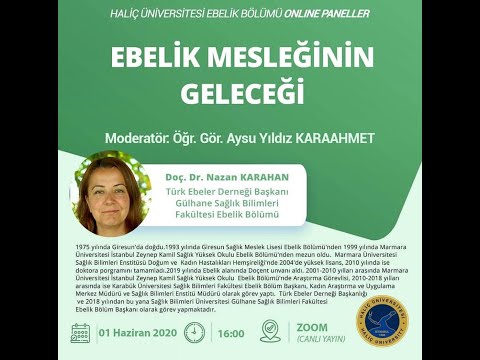 Video: Serbest çalışan anneler, NHS doktorları tarafından başlatılan kampanyada Annelik Ödemesi eşitliğini talep ediyor