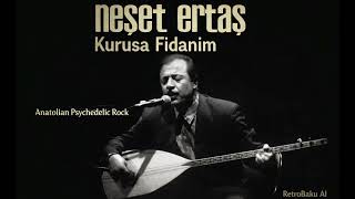 Neşet Ertaş - Kurusa Fidanımanatolian Psychedelic Rock