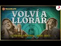 Volví A Llorar, Silvestre Dangond &amp; Jorge Oñate, Letra Oficial