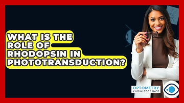 What Is The Role Of Rhodopsin In Phototransduction? - Optometry Knowledge Base