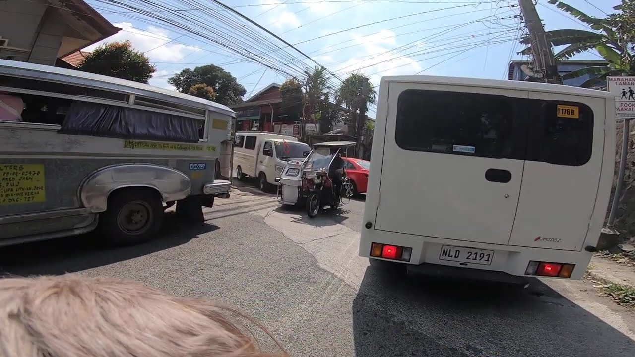 (1) Brgys Lodlod-Pangao-Cumba-Quezon Loop