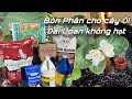 Cch kyle bn phn cho cy i i loan khng ht c th p dng  bn cc cy n tri khc k014