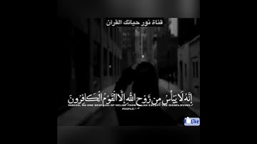 اية من سورة يوسف (..وَلَا تَيْأَسُوا مِن رَّوْحِ اللَّهِ ۖ إِنَّهُ لا..)(87) ( راحة نفسية 💙😪 )