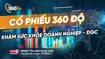 KHÁM SỨC KHỎE DOANH NGHIỆP - DGC | CỔ PHIẾU 360 ĐỘ 27/10/2022