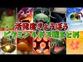 活発度きょうぼう ピクミン4ボス戦まとめ（無犠牲）【ピクミン４】