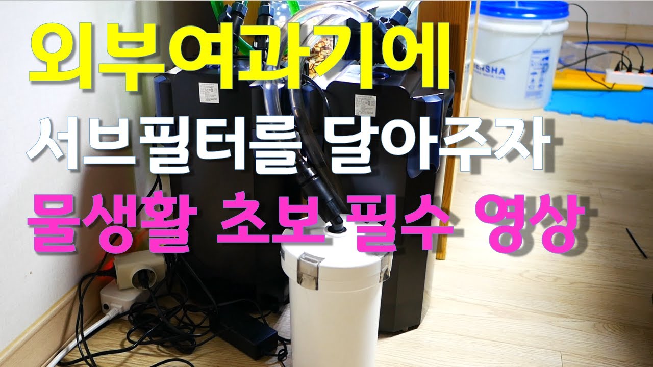 외부여과기 올바른 사용법_서브필터를 달아주자_물깨짐 복구