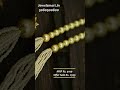 Jewelsmart.in Designer Pearl Jewellery Set Offer SALE Online #jewellery #shopping #sale #wedding