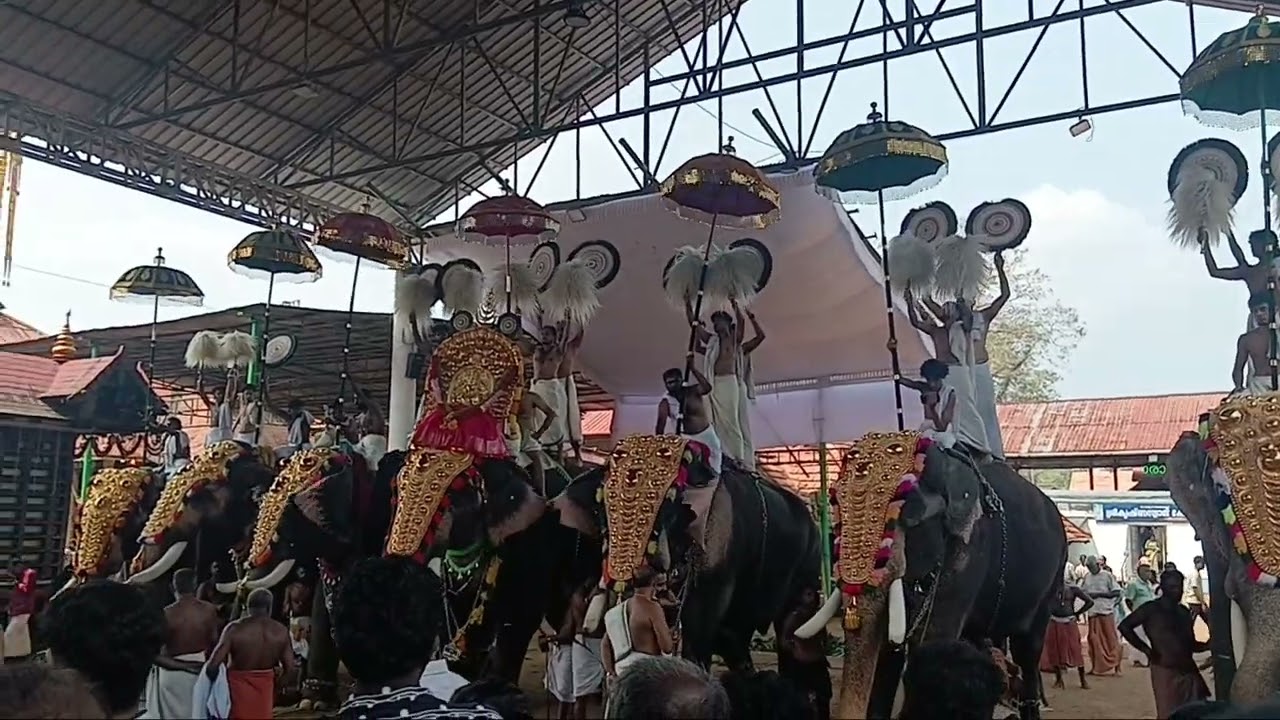 Ettumanoor utsavam 2026 7th day