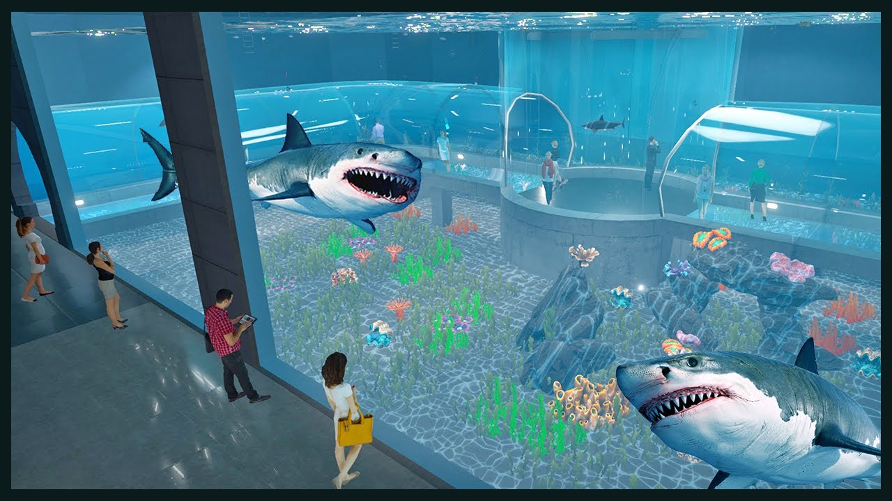 Building a Massive Shark Aquarium - Aquarist