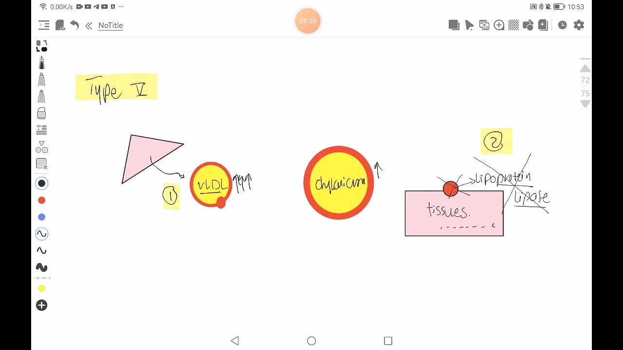 Dyslipidemia - Practical cardio 2024