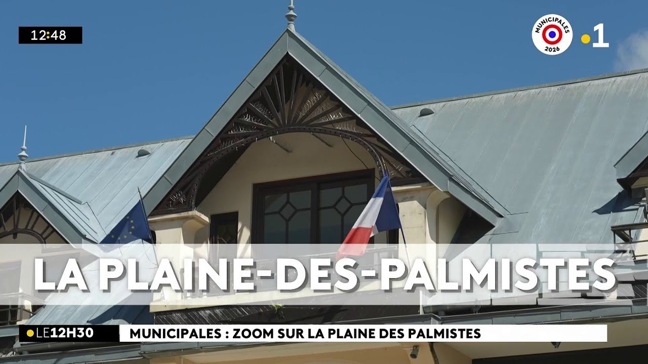 Municipales 2026 : carte postale de La Plaine-des-Palmistes