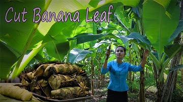 Amazing  Have Never Seen    Cut Banana Leaf to make my hometown cake   Prepare by ChhaiLin Nature
