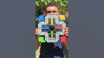 what Ludo looks like