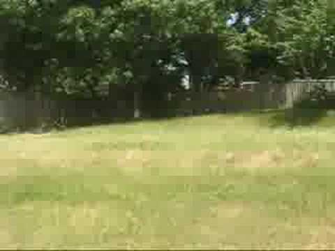 Baseball With a Soda 3