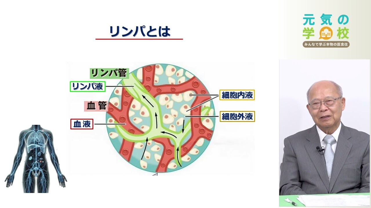 リンパ学の第一人者が徹底解説 新たな解明も!リンパの役割。信州大学招待教授 大橋 俊夫先生 元気の学校