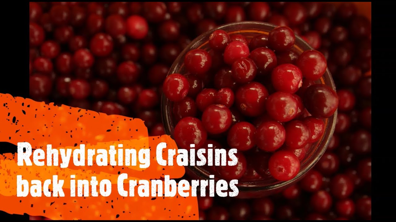Rehydrating Cranberries YouTube