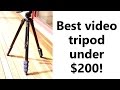 ProMaster FW29T Review - Best budget DSLR/video tripod for under $200!