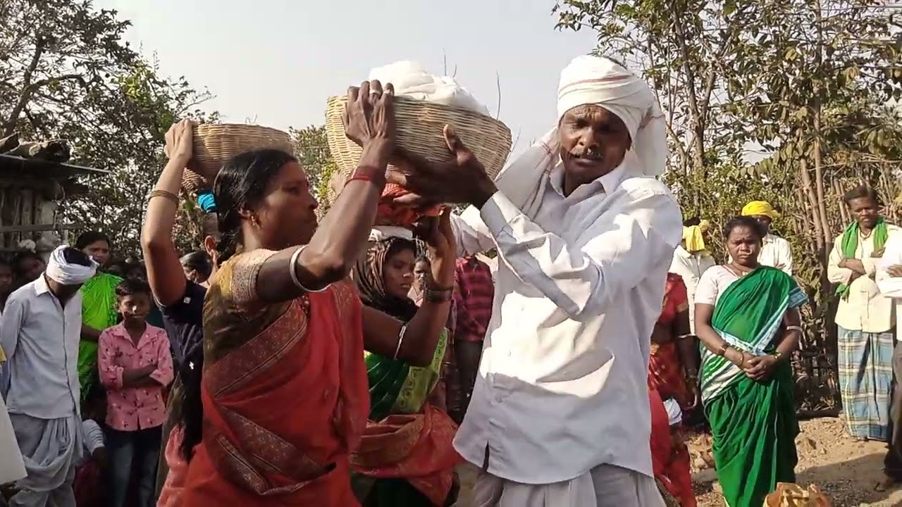 బీమాల్ పెన్ పూజ మరుగుడ లో 12-01-2023#bakthivideos #gondi #puja #jangubai