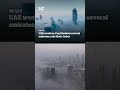 UAE weather: Fog blankets several emirates; rain likely today