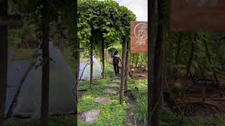 NIHI Sumba Organic garden, from farm to table nourishing our restaurants #indonesia #sumba