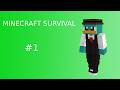 Rozpoczynamy nową przygodę!/Minecraft Survival #1