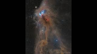 NGC 6727: The Rampaging Baboon Nebula