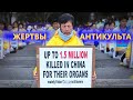 THE IMPACT. Эпизод 5. Дело Фалунь Дафа: террор в Китае