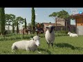 Fs22  guida su come guadagnare con le pecore