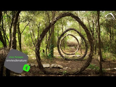 EdeN - Spencer Byles, un an dans une forêt Française