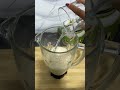 🍊 ¿Buscas apoyar el control de tu azúcar de forma natural?