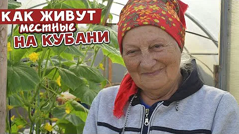 ИНТЕРВЬЮ. КАК ЖИВУТ МЕСТНЫЕ ЖИТЕЛИ в Краснодарском крае. Что растет на Кубани в ноябре? Темрюк