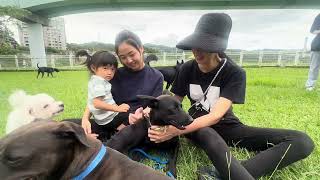 Mary’s Doggies - Nicolo meeting a child