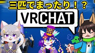 【VRChat】のんびりケモノ３匹で雑談！【時ノ音ゲンキ/ジング・フィール/ホワイト・アーチボルト】